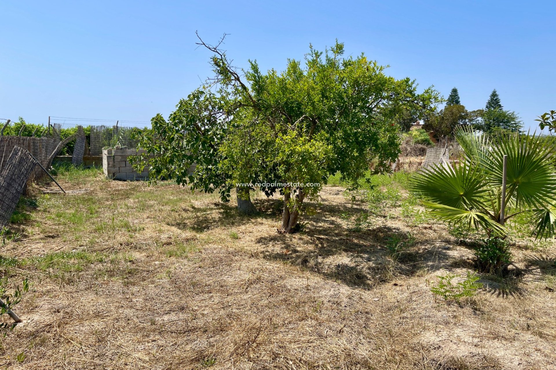 Resale - Villa -
Daya Nueva - Costa Blanca