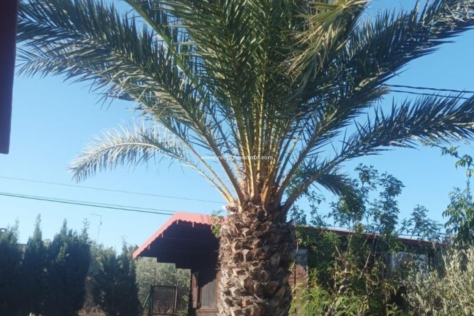 Resale - Villa -
Elche - Costa Blanca