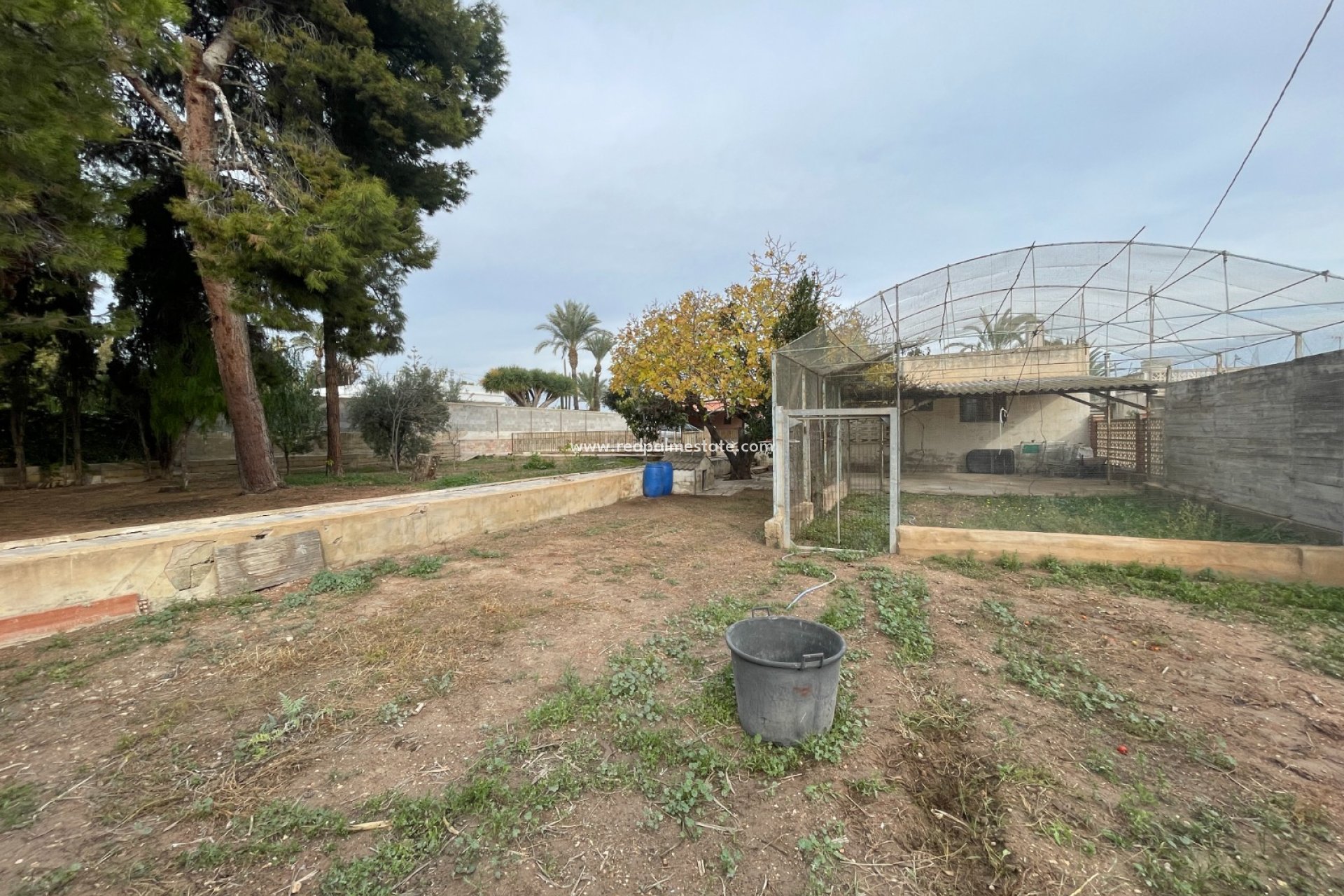 Resale - Villa -
Elche - Costa Blanca