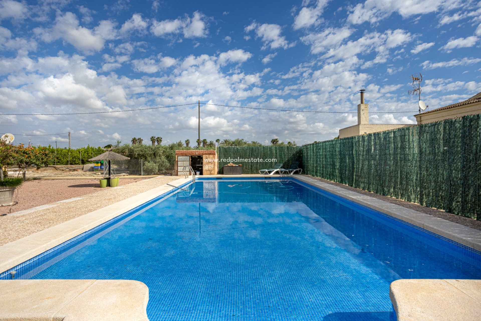 Resale - Villa -
Elche - Costa Blanca