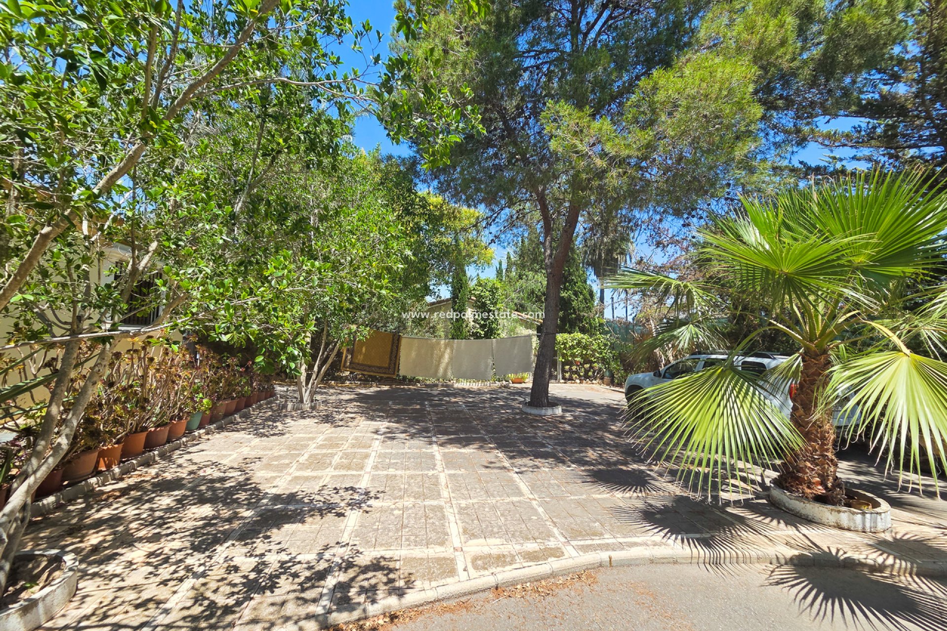 Resale - Villa -
Elche - Costa Blanca