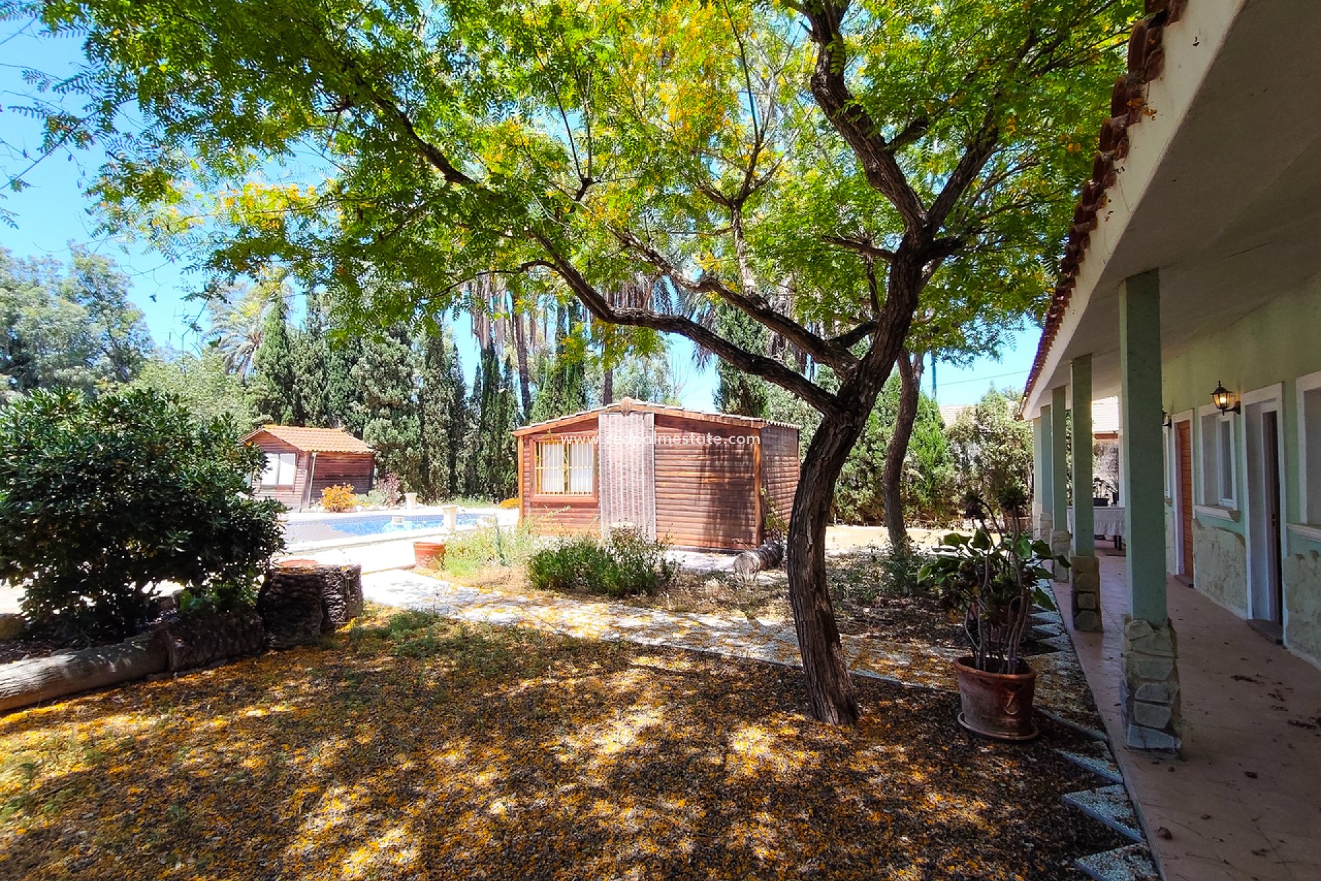 Resale - Villa -
Elche - Costa Blanca