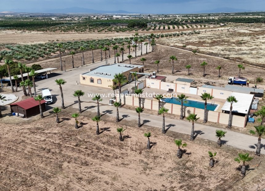 Resale - Villa -
Fuente Álamo - Inland