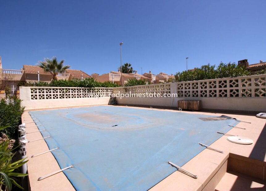 Resale - Villa -
Guardamar del Segura - Costa Blanca