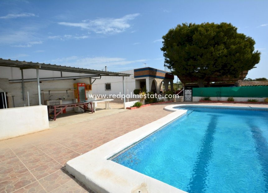 Resale - Villa -
Guardamar del Segura - Costa Blanca