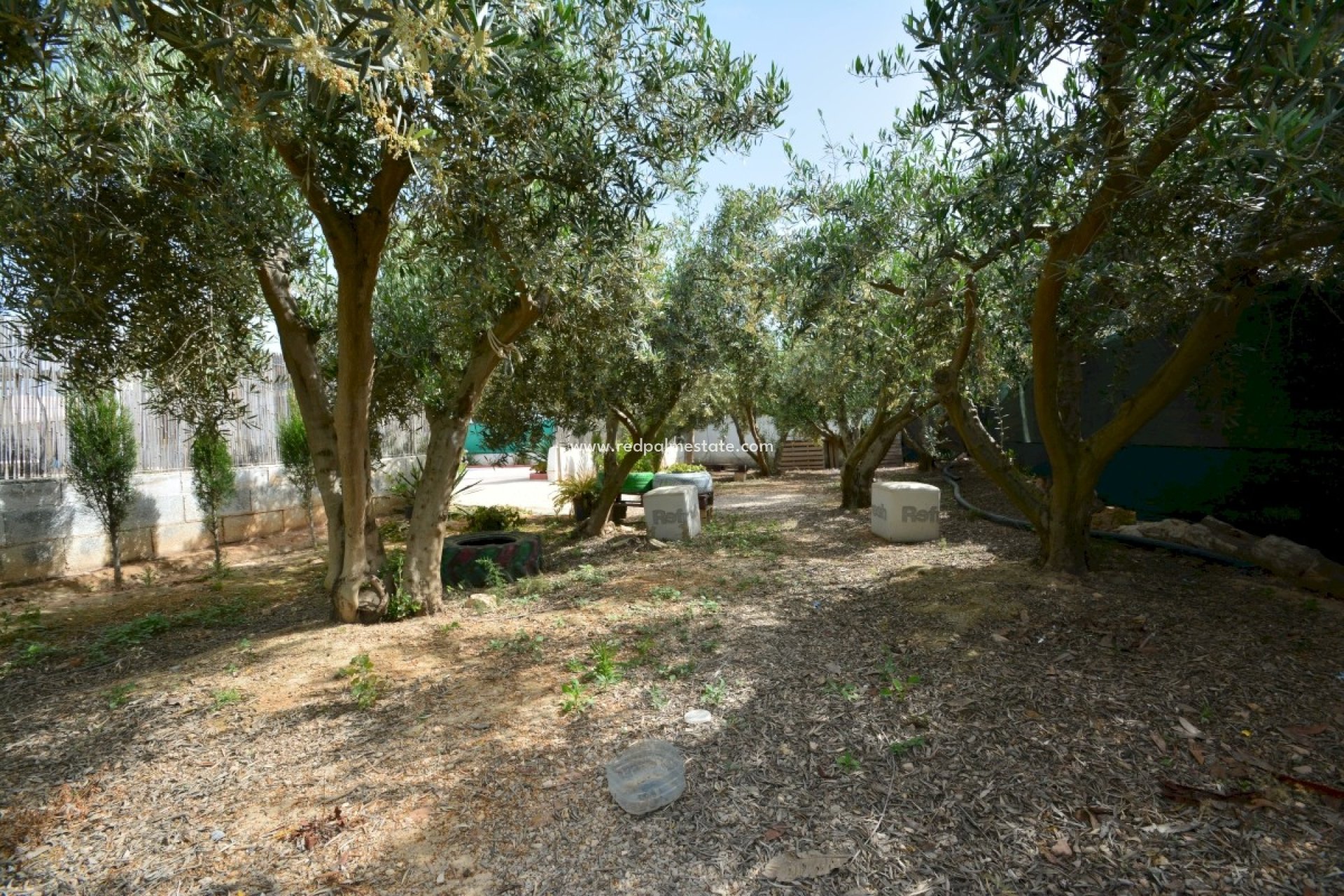 Resale - Villa -
Guardamar del Segura - Costa Blanca