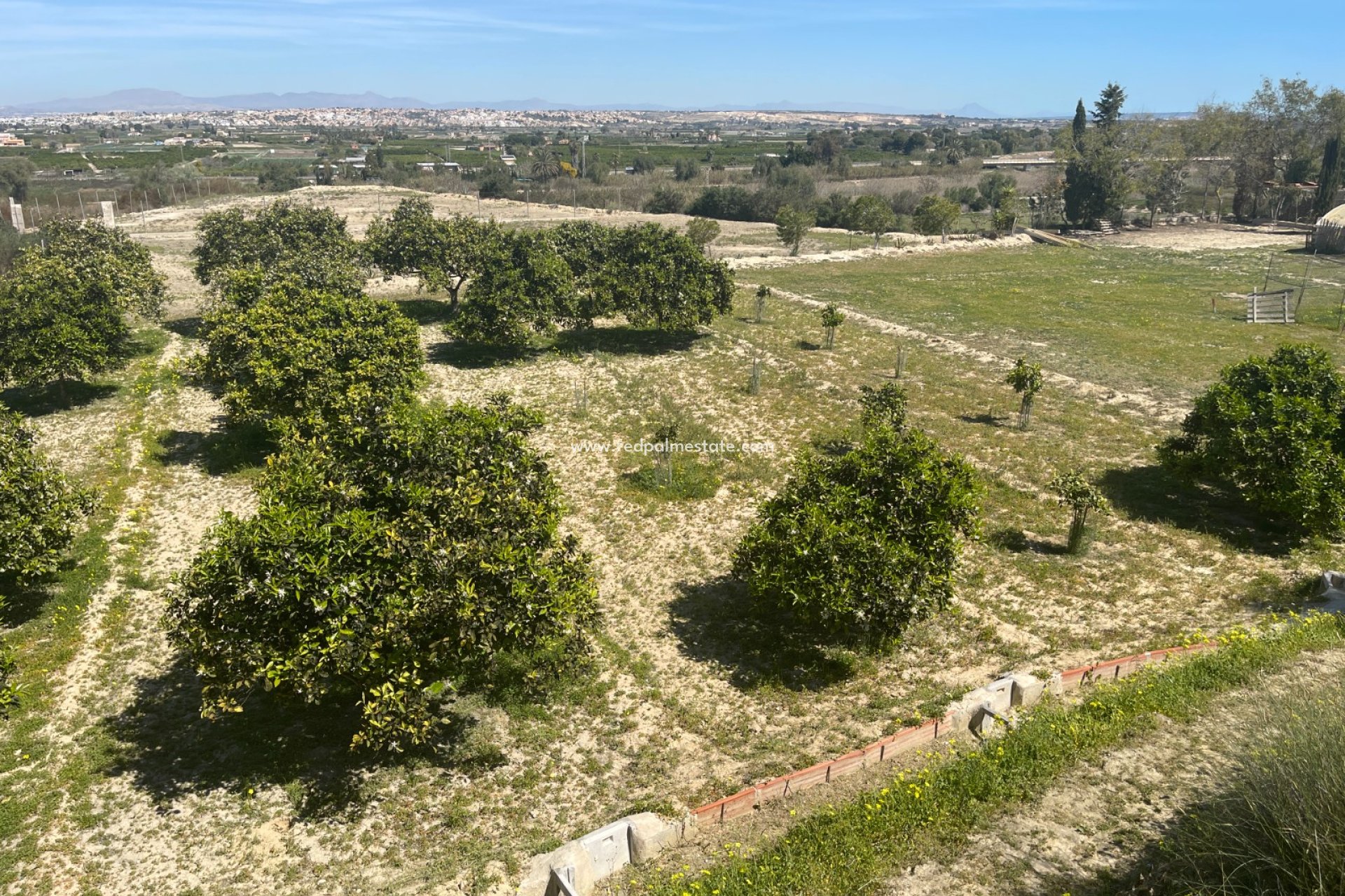 Resale - Villa -
Guardamar del Segura - Guardamar