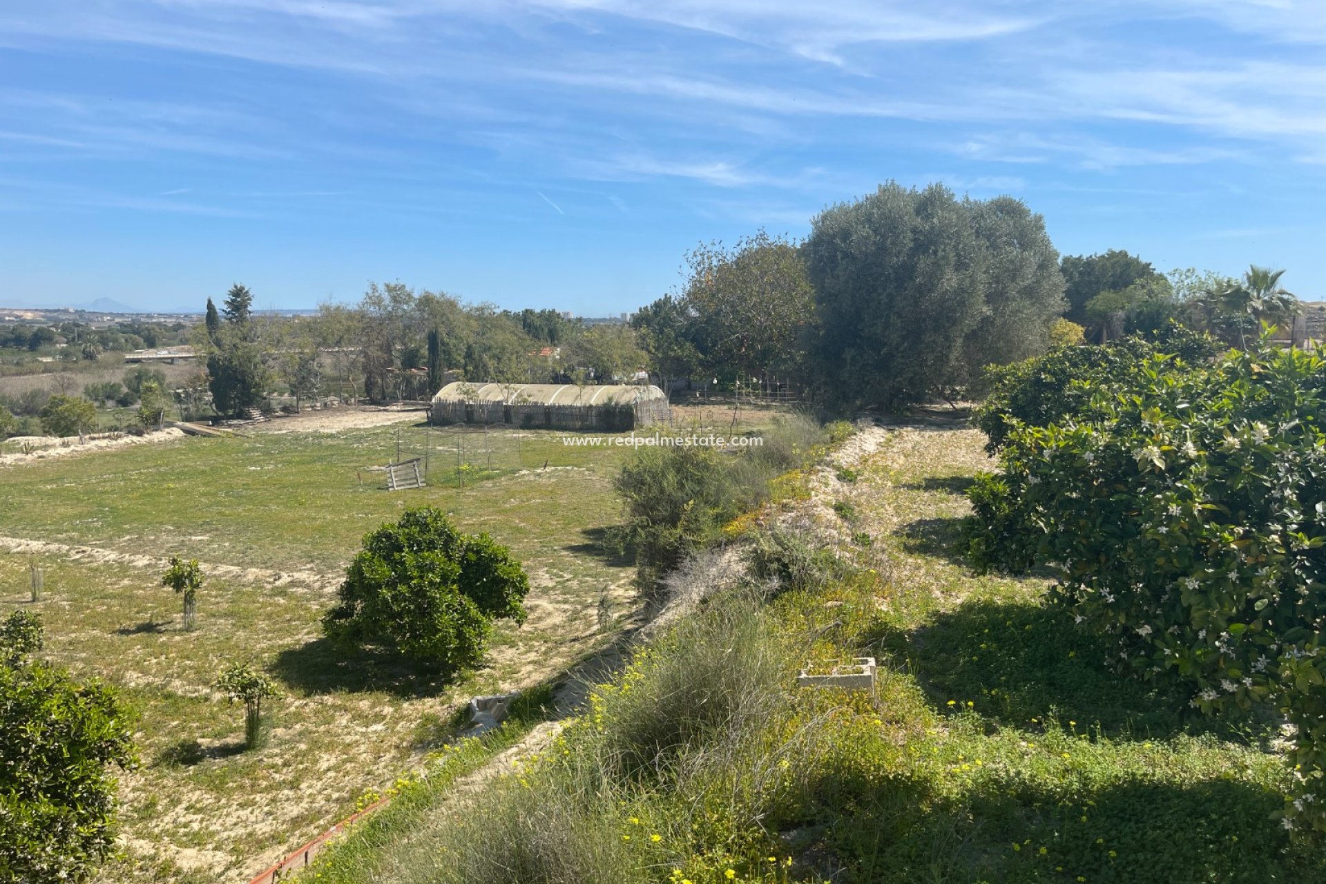 Resale - Villa -
Guardamar del Segura - Guardamar