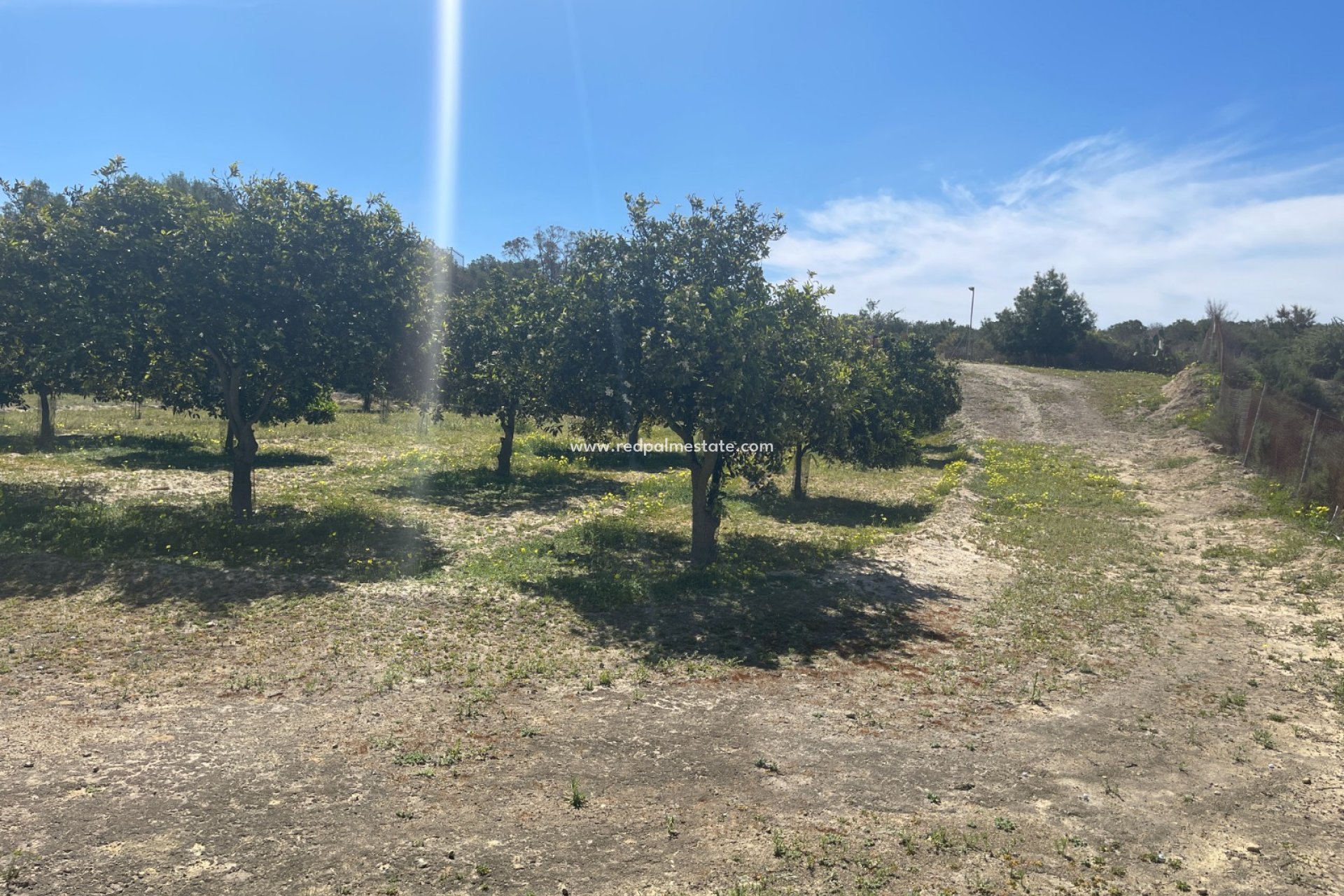 Resale - Villa -
Guardamar del Segura - Guardamar