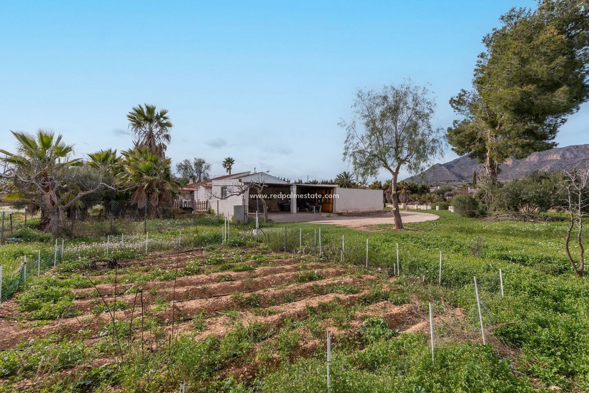 Resale - Villa -
Hondón de las Nieves - Inland