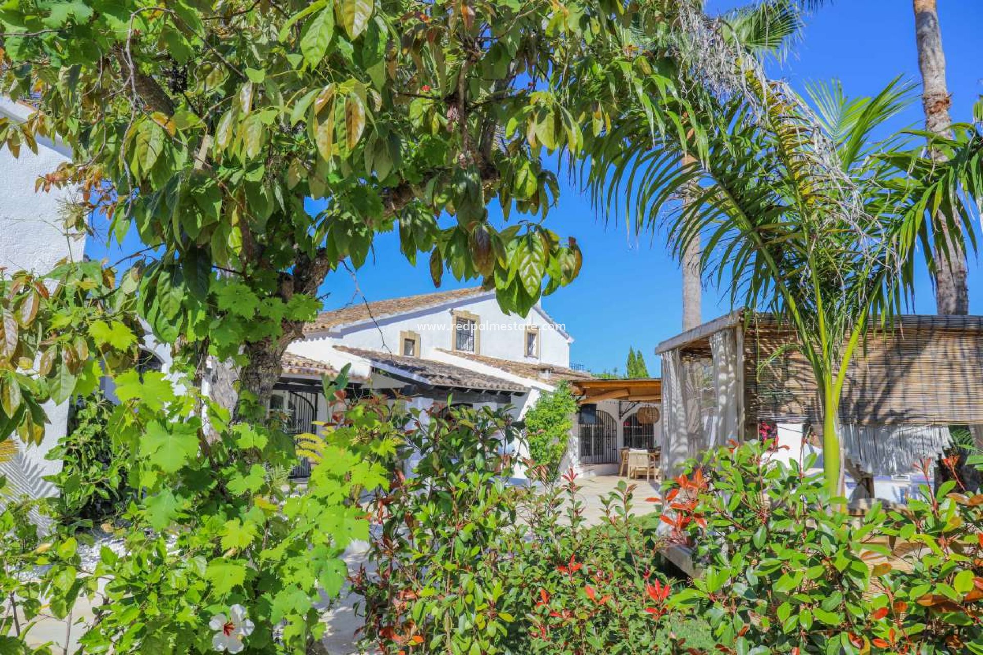 Resale - Villa -
Jesus Pobre - Inland