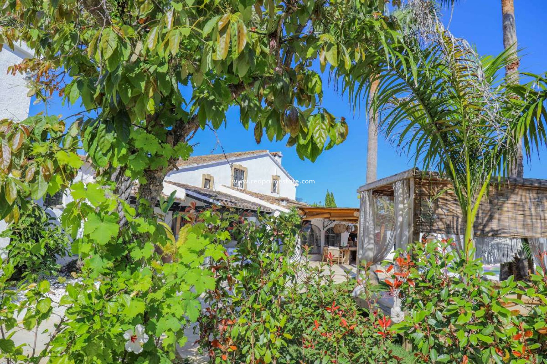 Resale - Villa -
Jesus Pobre - Inland