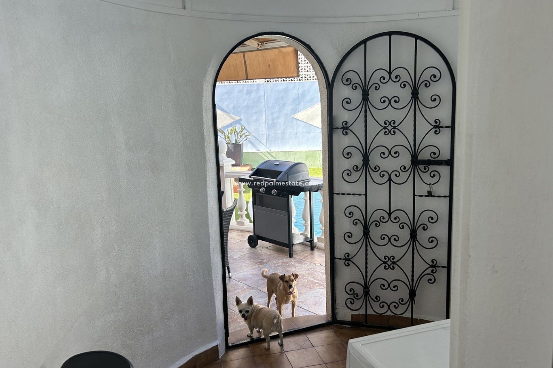 Resale - Villa -
La Manga - Cala Flores