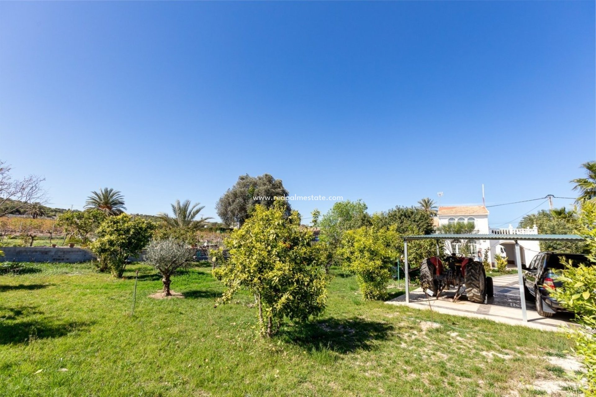 Resale - Villa -
La Marina - Alicante