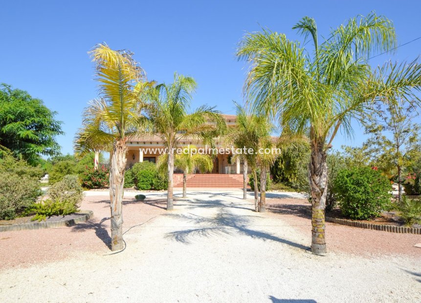 Resale - Villa -
La Murada