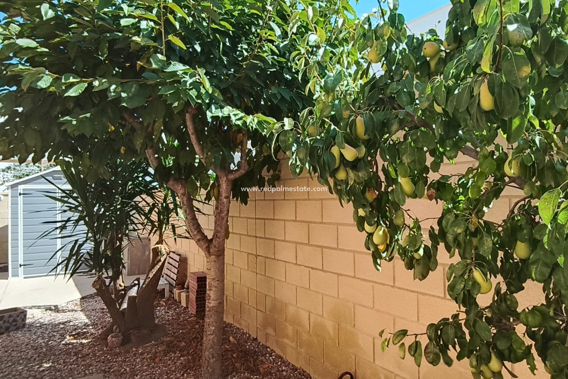 Resale - Villa -
La Romana - Inland