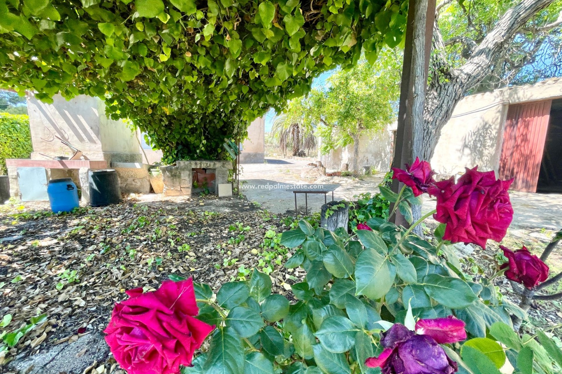 Resale - Villa -
La Romana - Inland