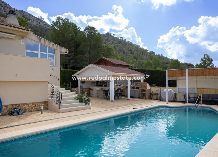 Resale - Villa -
La Zarza
