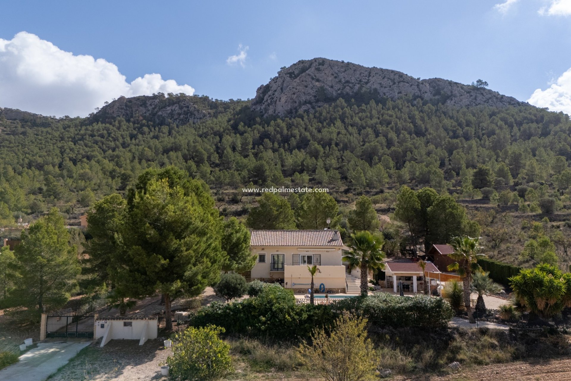 Resale - Villa -
La Zarza