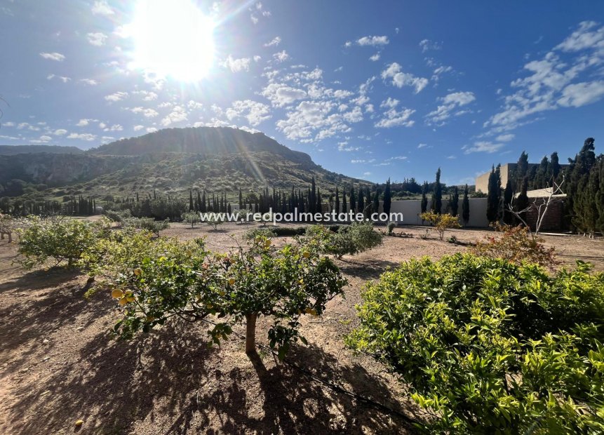 Resale - Villa -
Los Belones - Inland