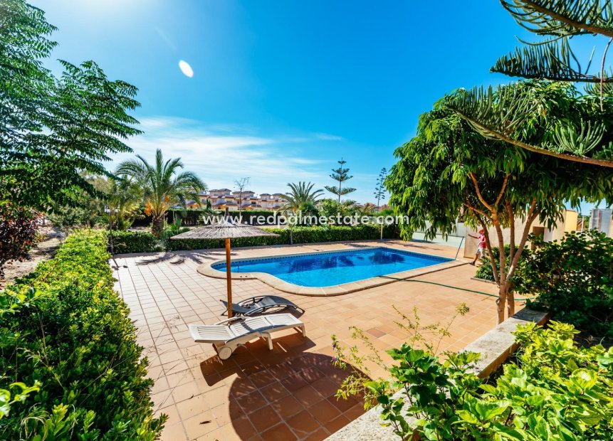 Resale - Villa -
Los Montesinos - Montesinos  Los