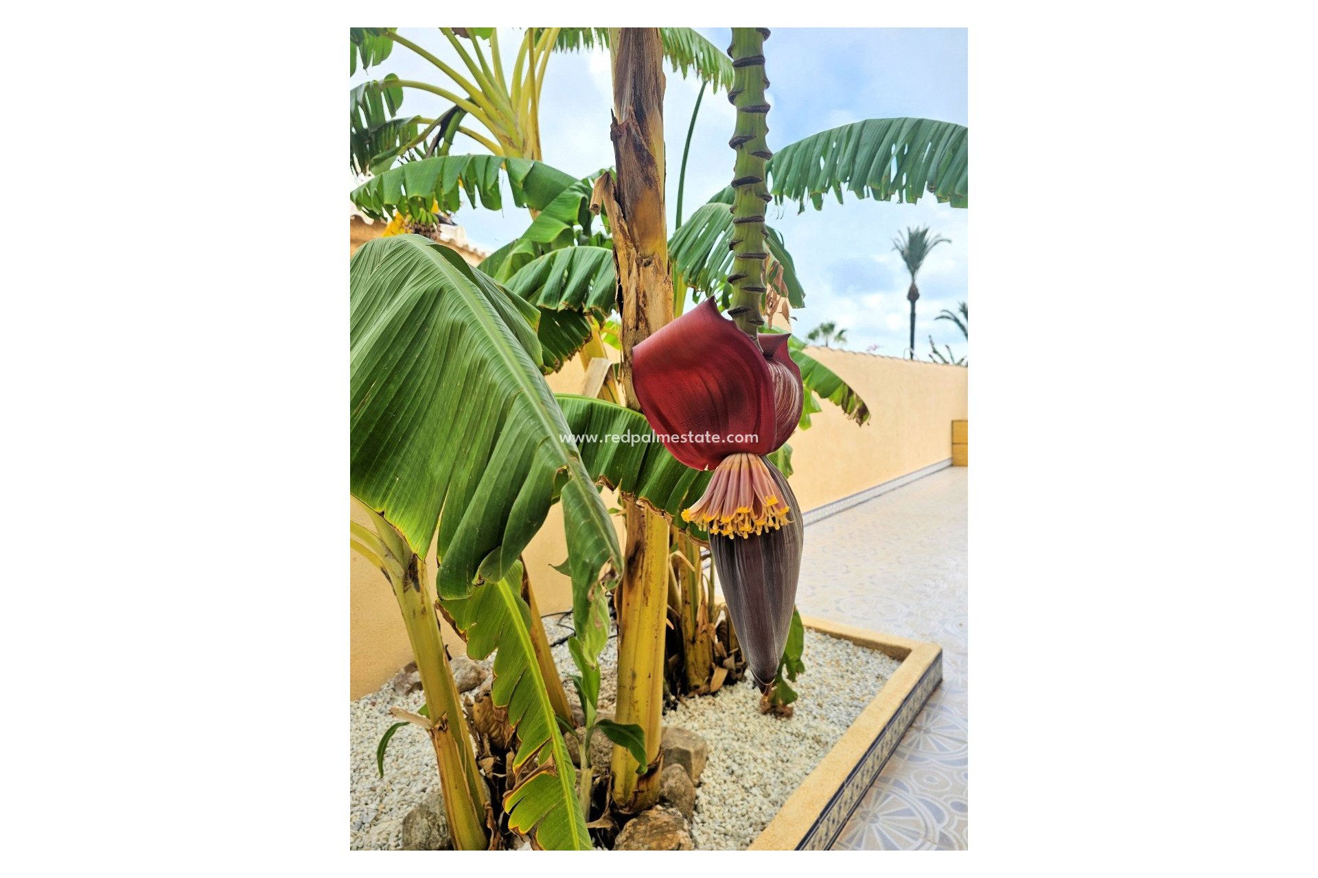 Resale - Villa -
Los Urrutias - Estrella De Mar