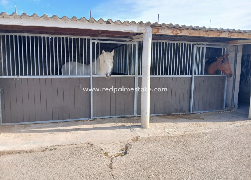 Resale - Villa -
Monóvar/Monóver - Inland