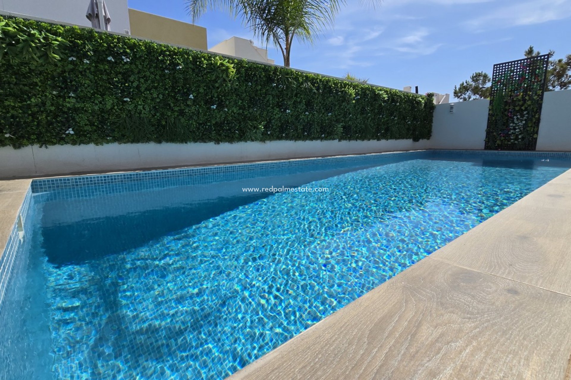 Resale - Villa -
Montesinos - Los Montesinos