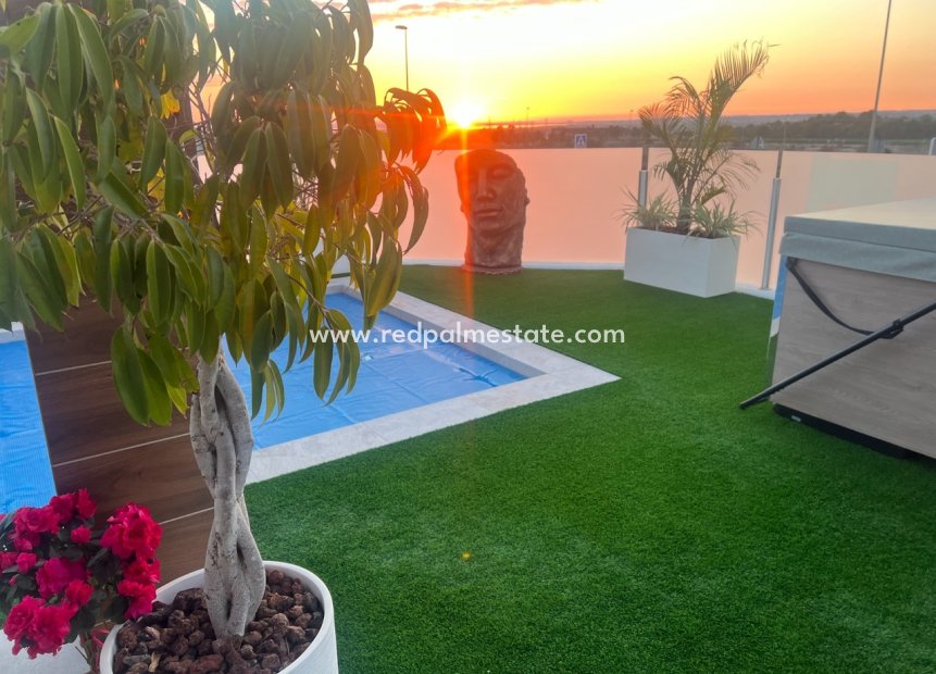 Resale - Villa -
Montesinos - Los Montesinos