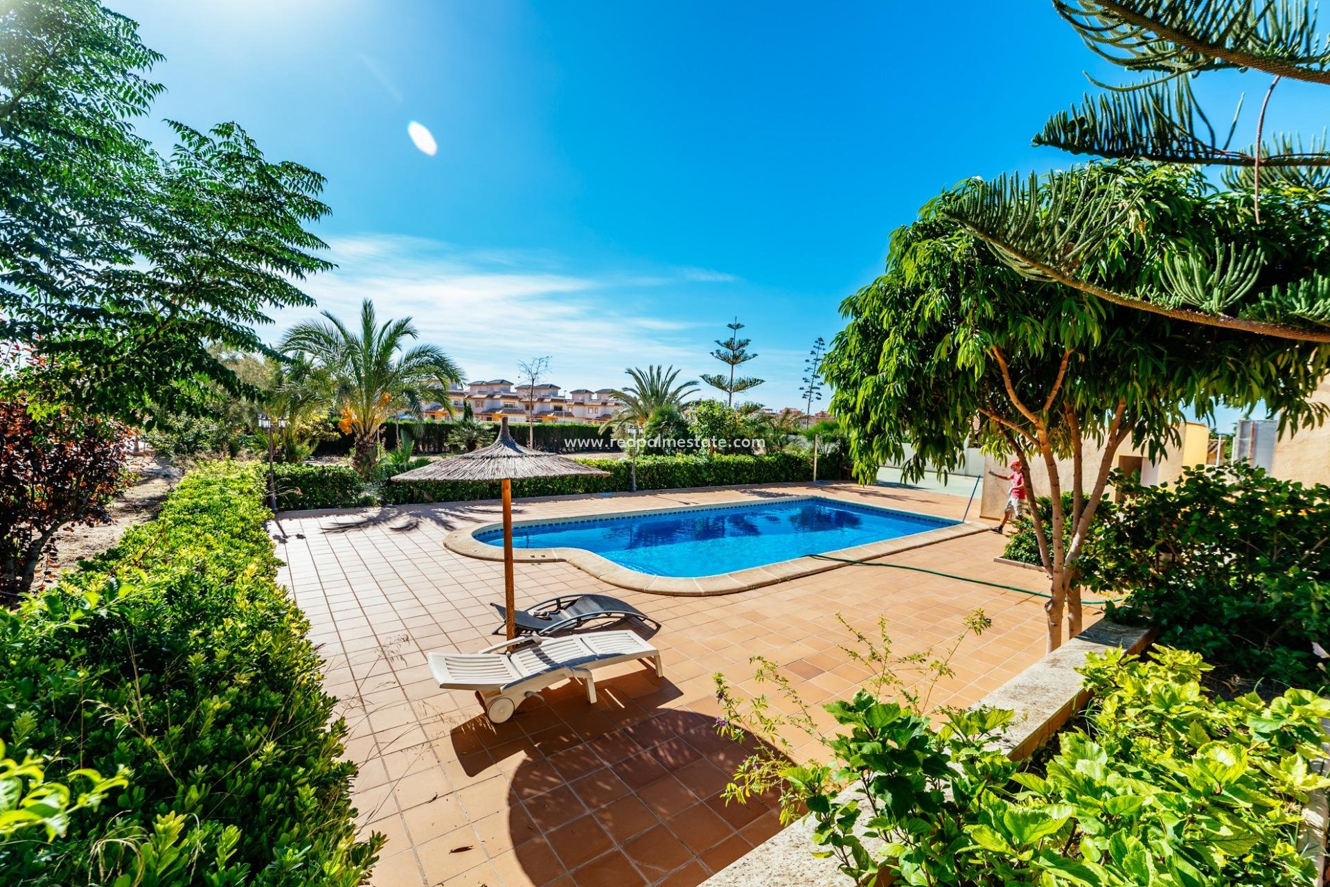 Resale - Villa -
Montesinos - Montesinos  Los