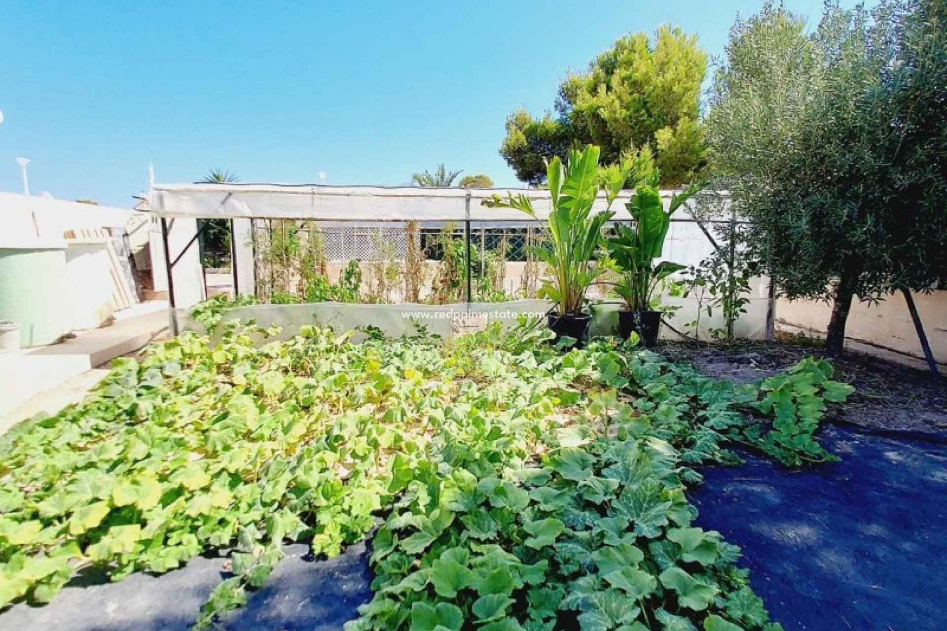 Resale - Villa -
Orihuela Costa - Campoamor