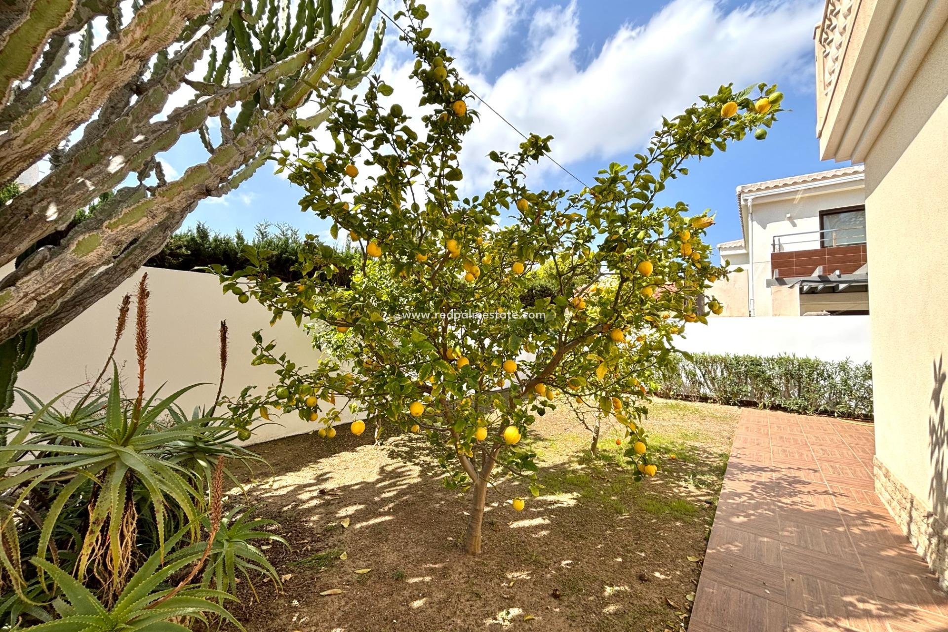 Resale - Villa -
Orihuela Costa - Costa Blanca