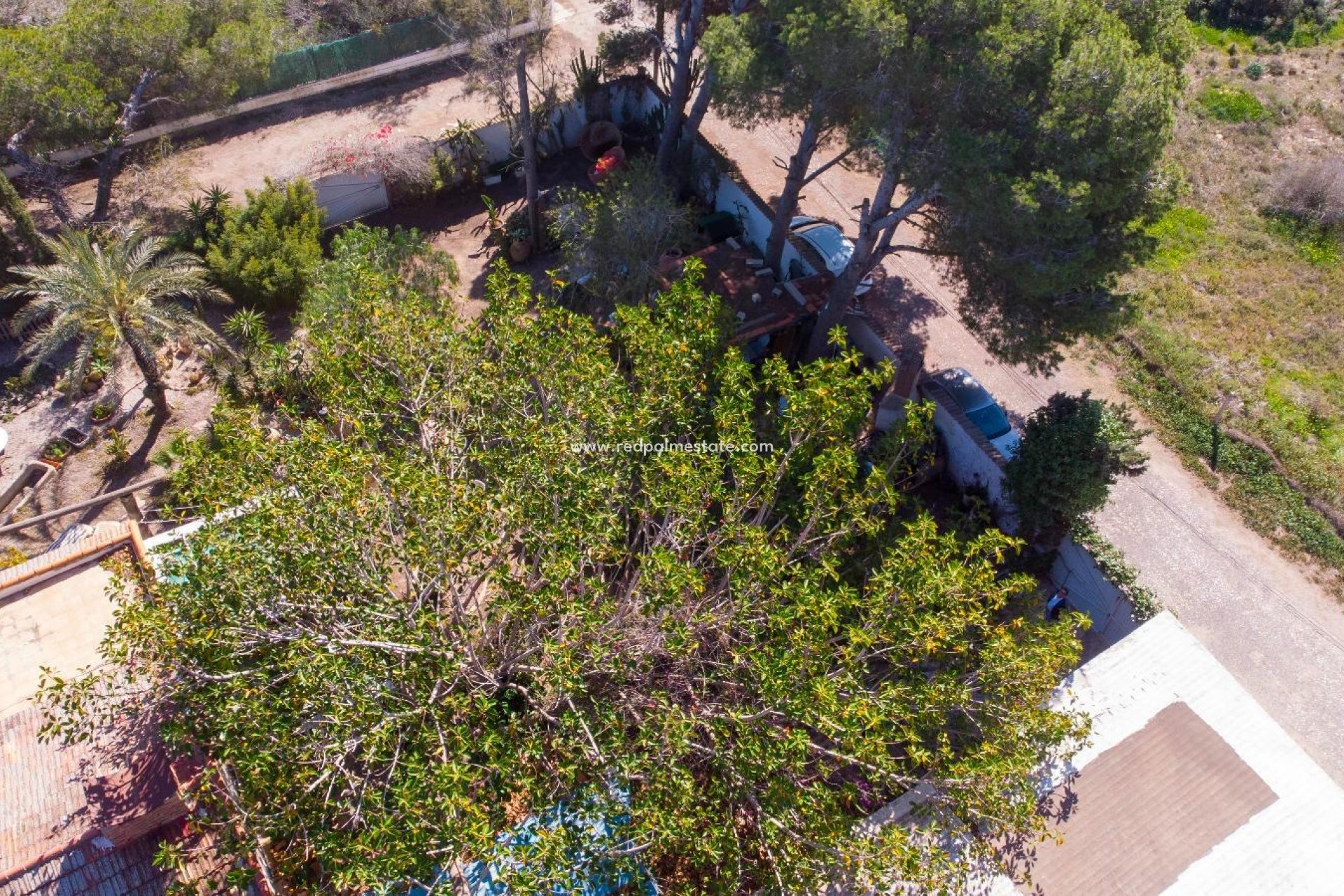 Resale - Villa -
Orihuela Costa - Lomas De Cabo Roig-los Dolses