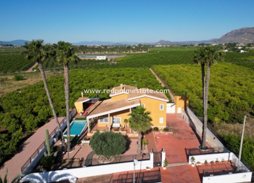 Resale - Villa -
Orihuela - Inland
