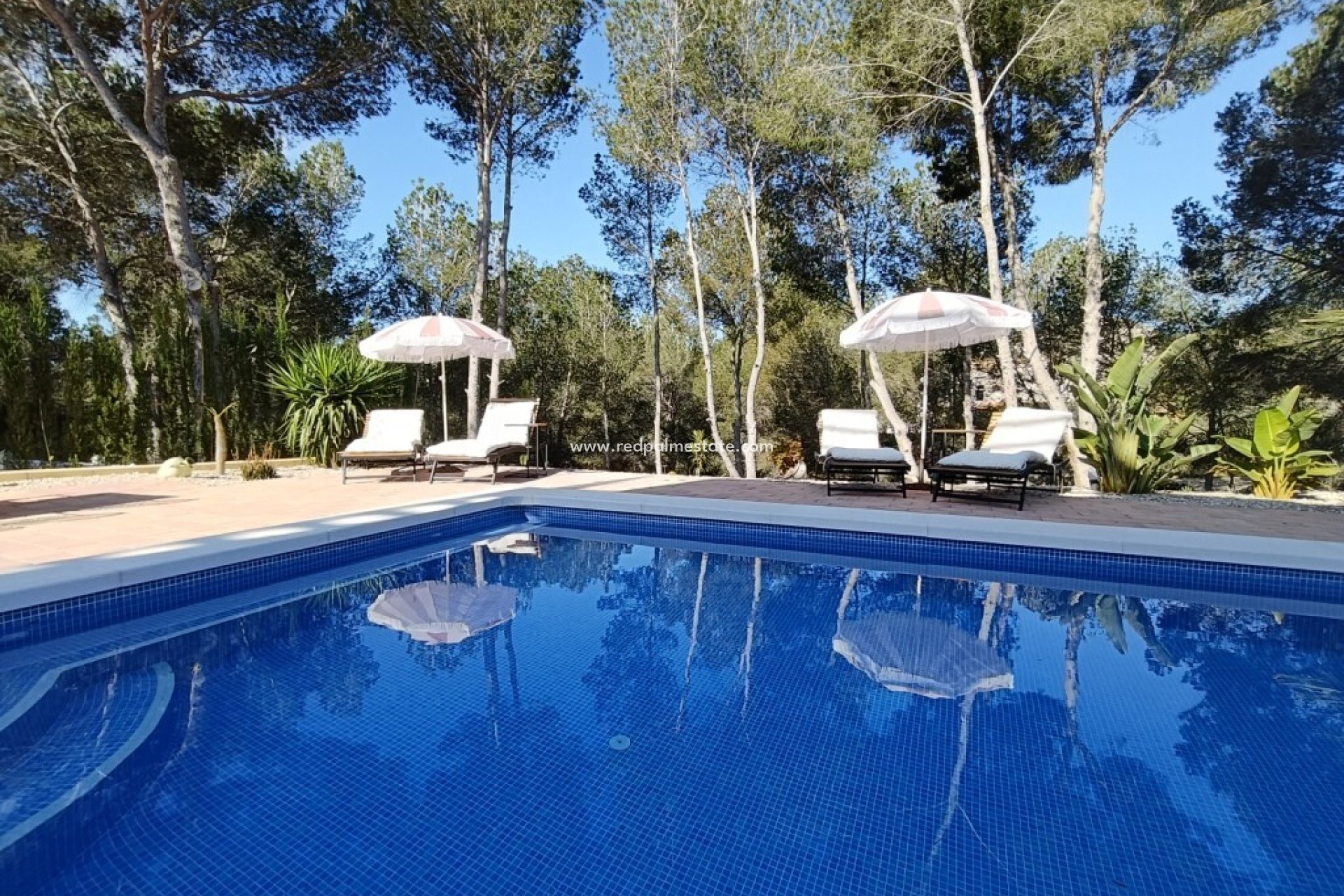 Resale - Villa -
Pilar de la Horadada - Pinar de Campoverde