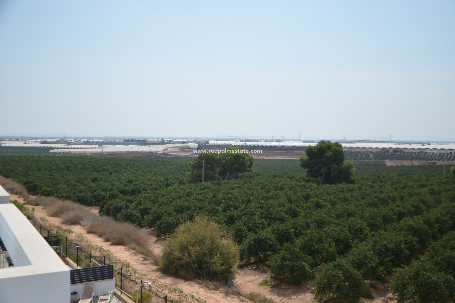 Resale - Villa -
Pilar de la Horadada