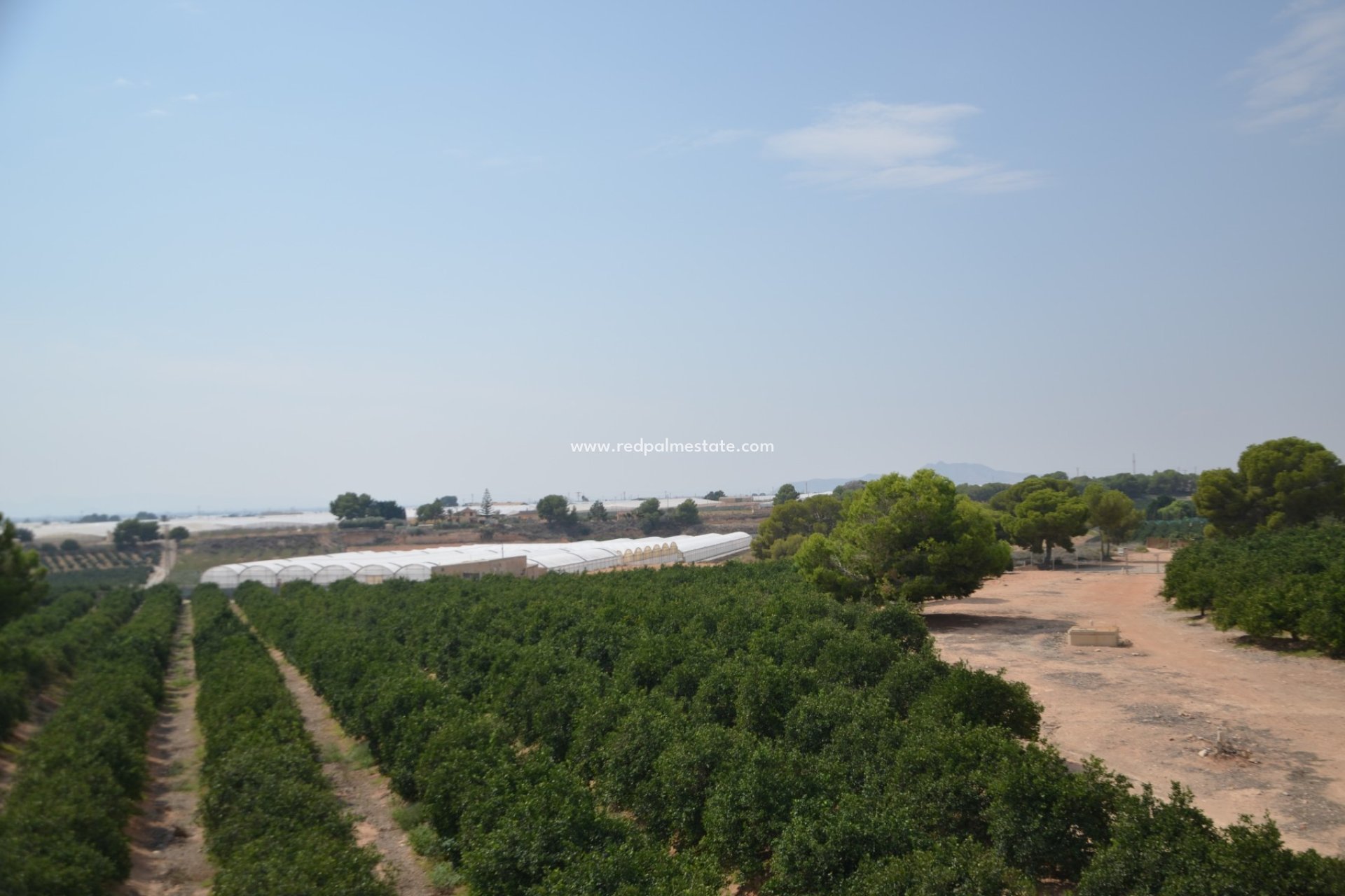 Resale - Villa -
Pilar de la Horadada