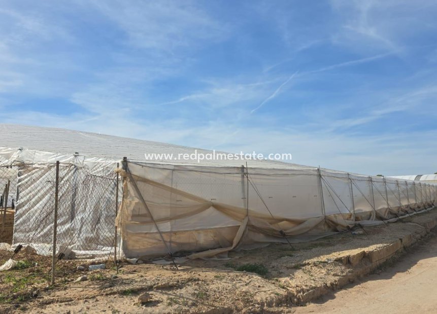 Resale - Villa -
Pilar de la Horadada