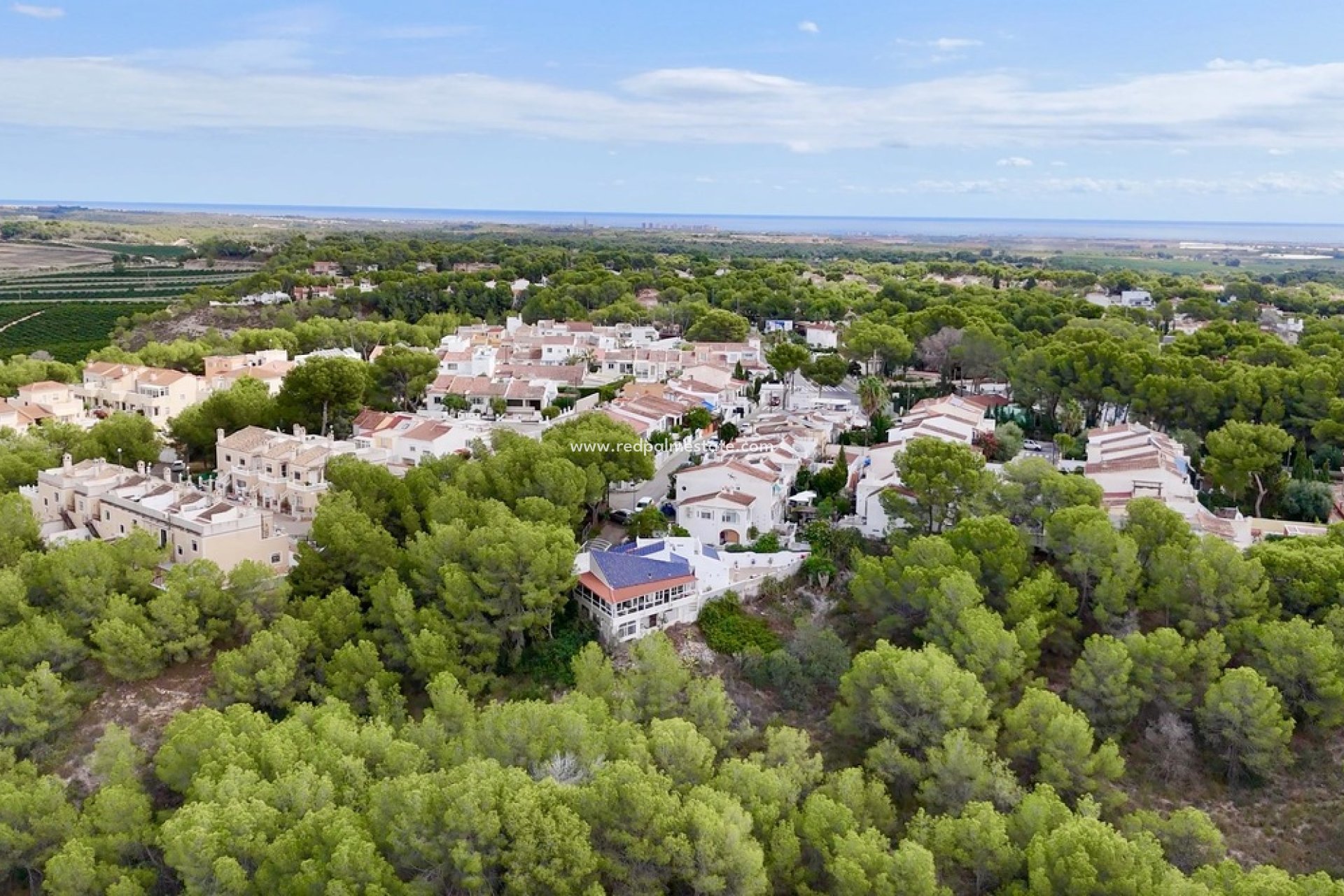 Resale - Villa -
Pinar de Campoverde - Inland