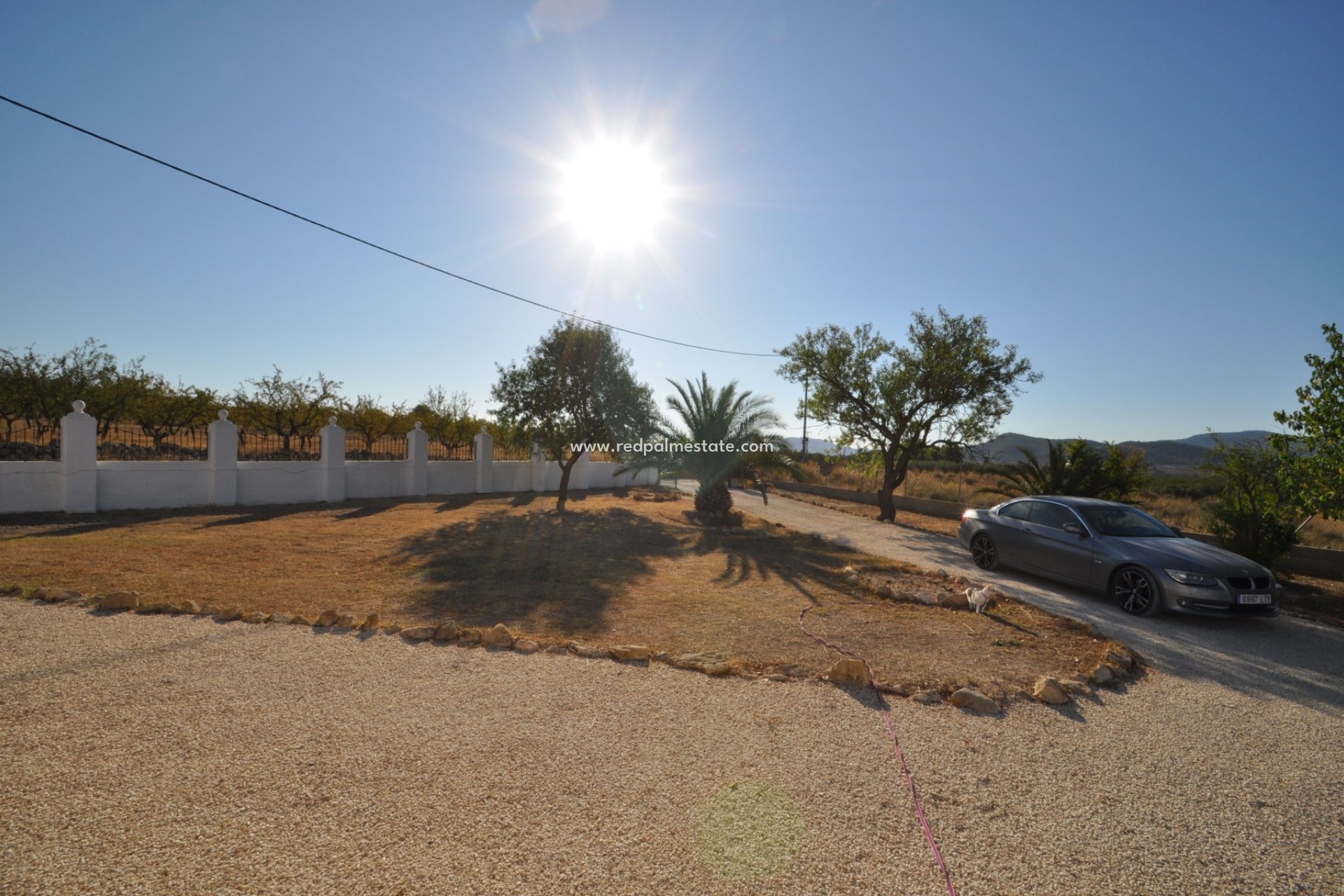 Resale - Villa -
Pinoso - Inland
