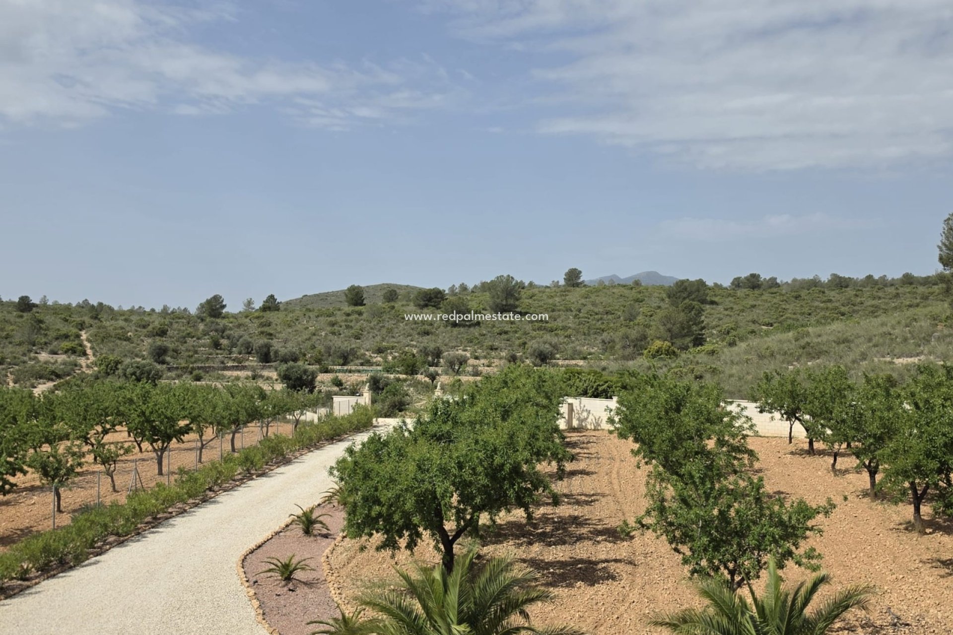 Resale - Villa -
Pinoso - Inland