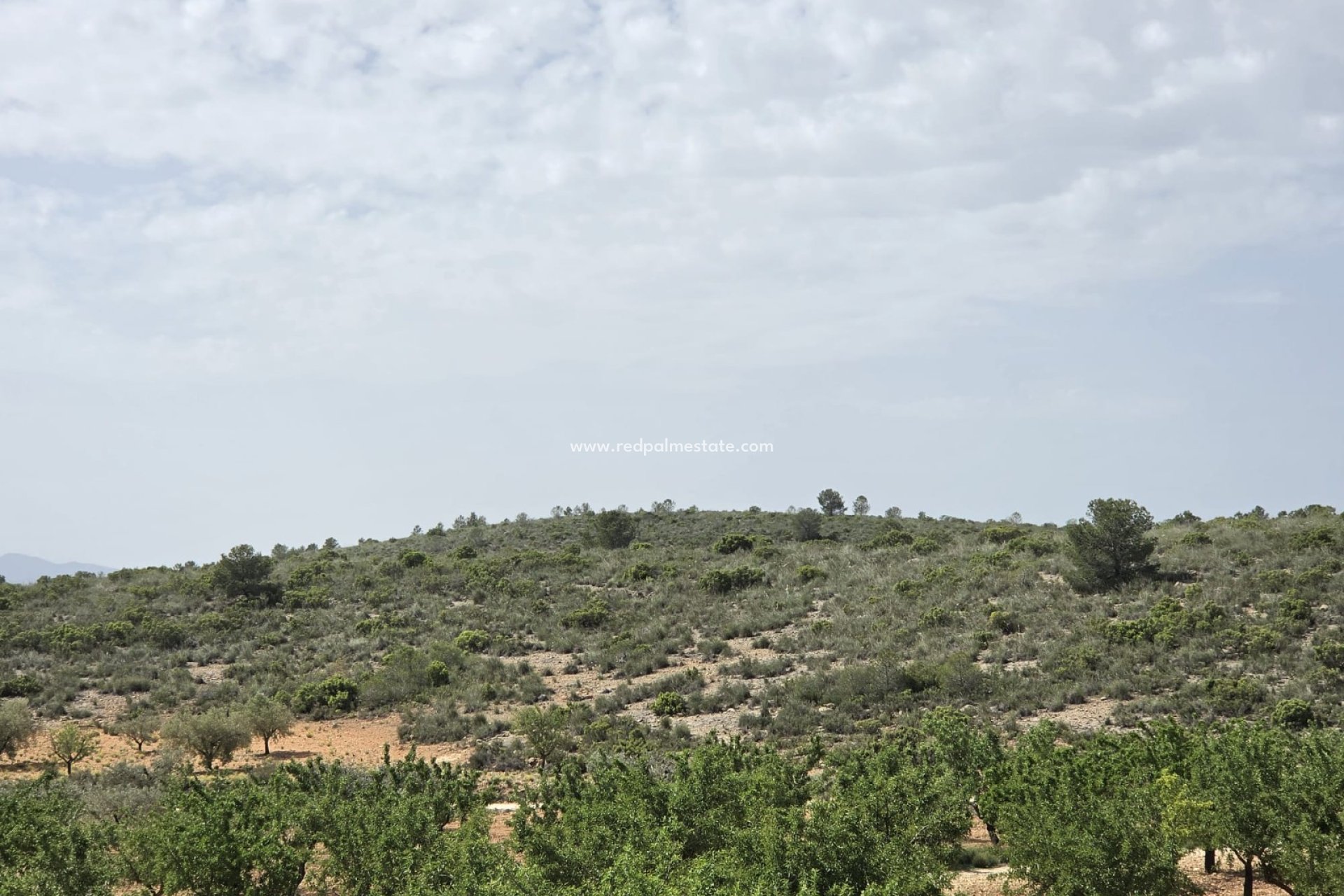 Resale - Villa -
Pinoso - Inland