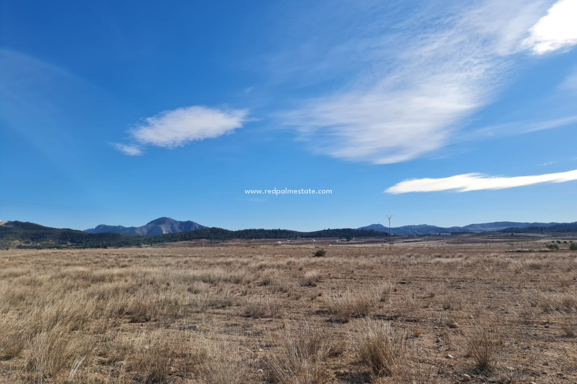 Resale - Villa -
Pinoso - Inland