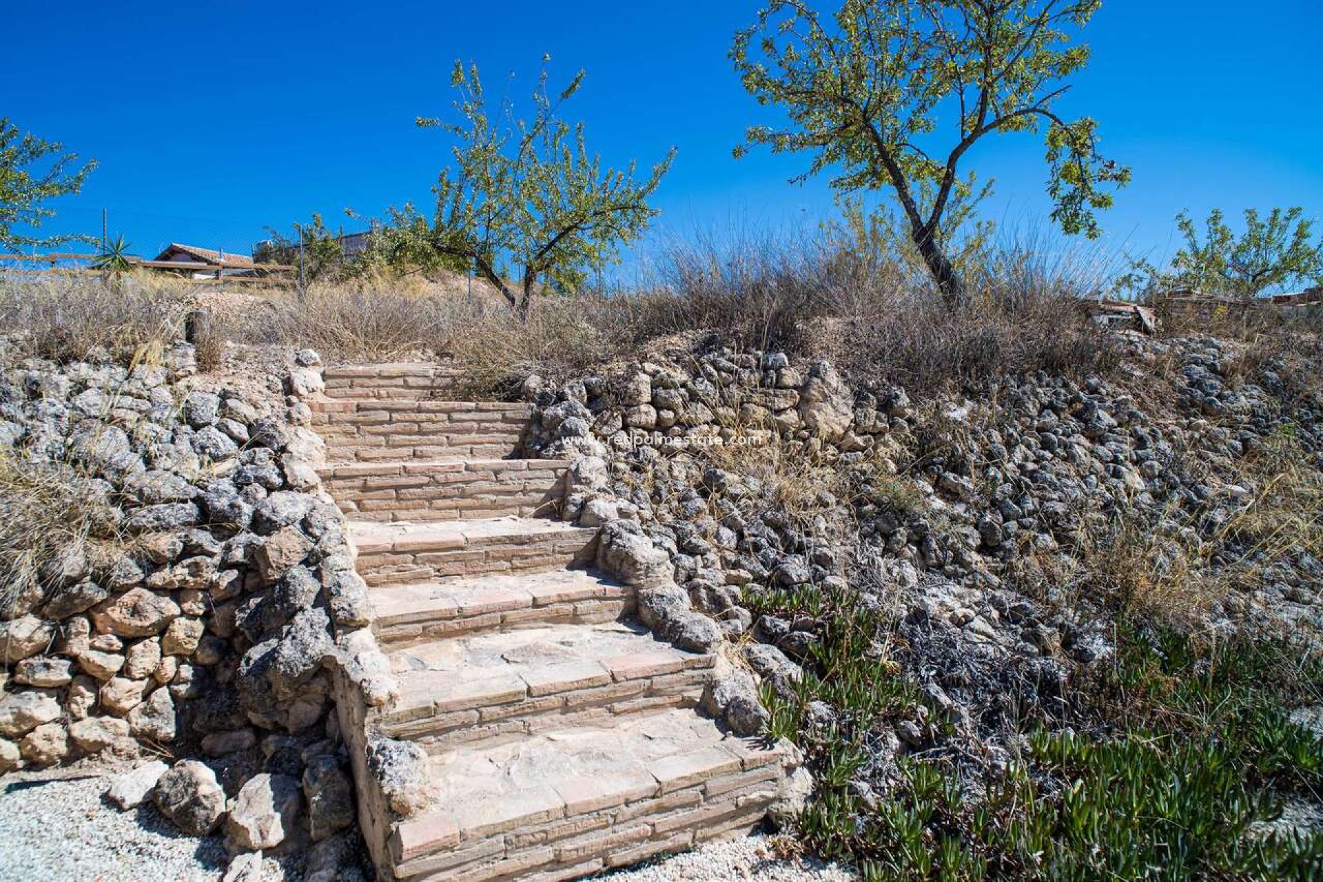 Resale - Villa -
Pinoso - Inland