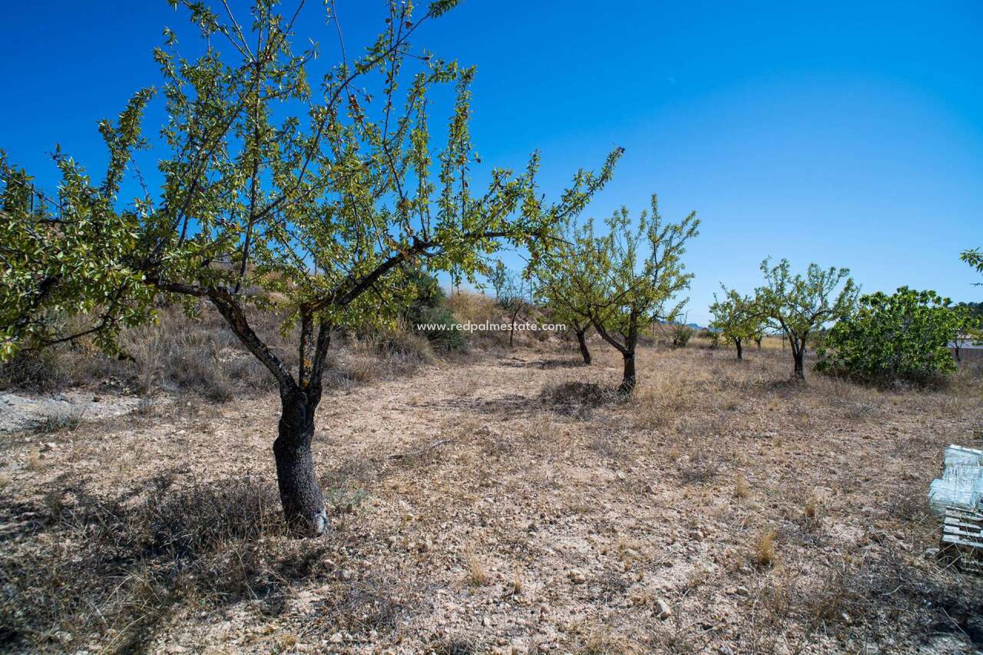 Resale - Villa -
Pinoso - Inland