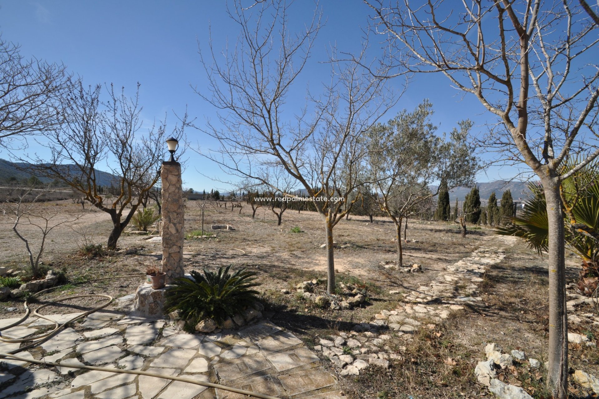 Resale - Villa -
Salinas - Inland
