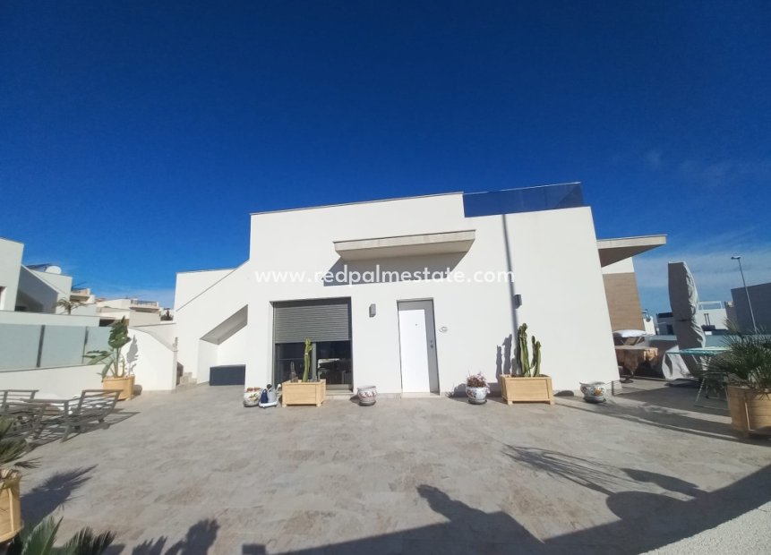 Resale - Villa -
San Miguel de Salinas - Inland