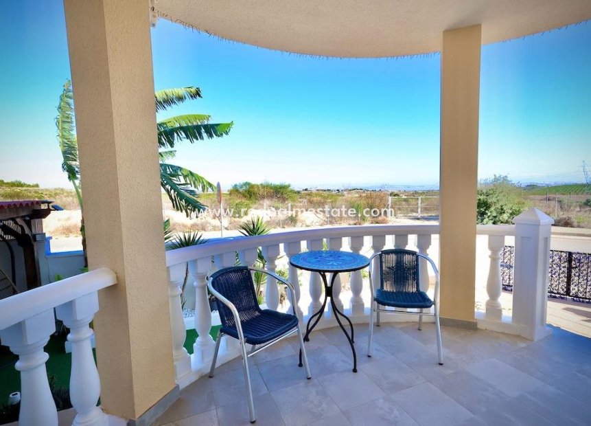 Resale - Villa -
San Miguel de Salinas - Inland