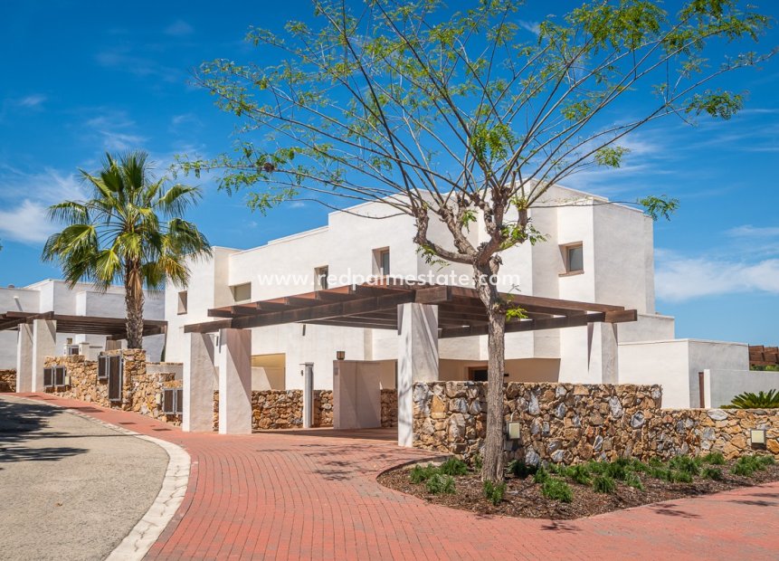 Resale - Villa -
San Miguel de Salinas - Inland