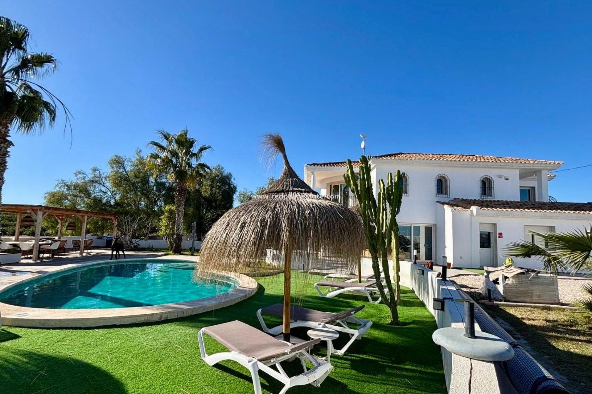 Resale - Villa -
San Miguel de Salinas - Pueblo 9
